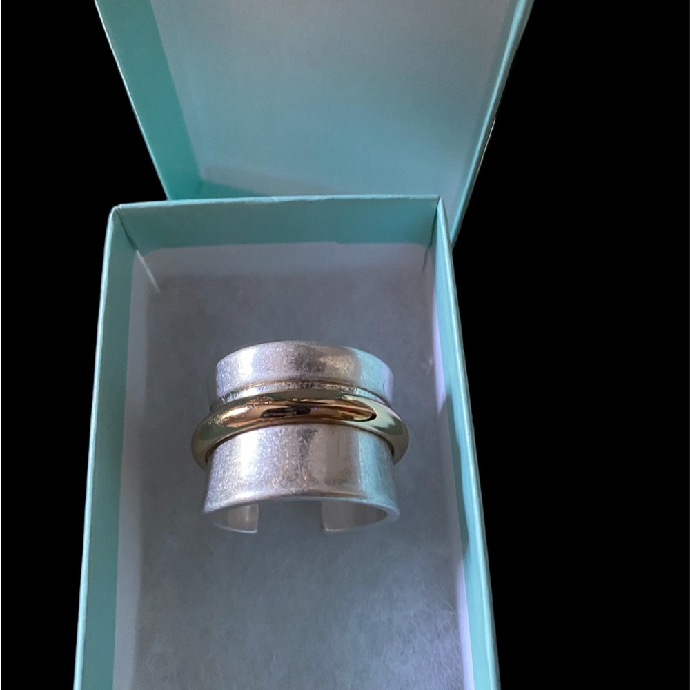 Park lane costal ring
